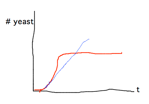 Rapid initial growth followed by plateau