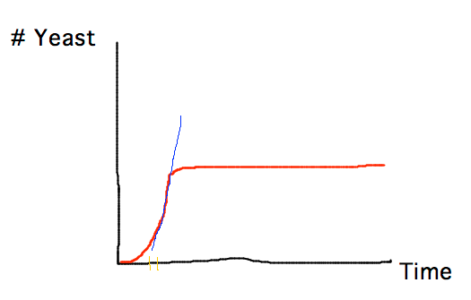 Population grows exponentially at first, then levels off