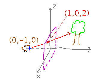 Eye on -y axis sends rays into virtual scene through window on xz plane