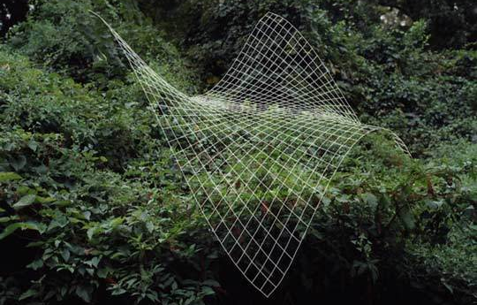 Mesh surface draped over bush