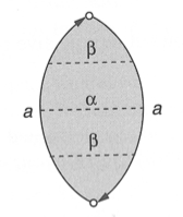 Cut Projective
                    Plane